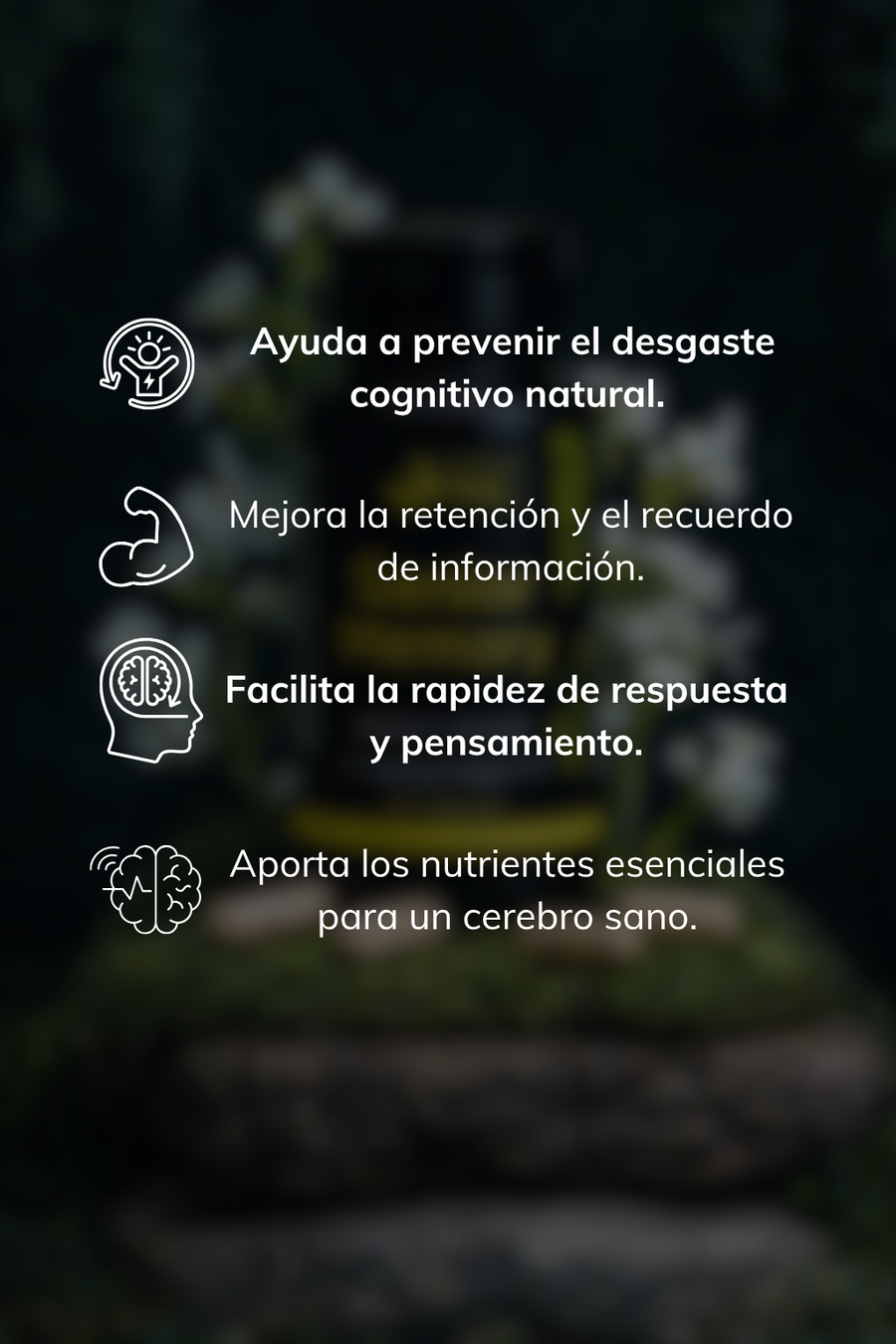 Senior Memory con Omega 3 para Memoria y Concentración