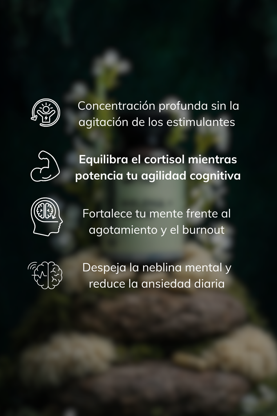 Melena de León + Ashwagandha para Estrés y Enfoque