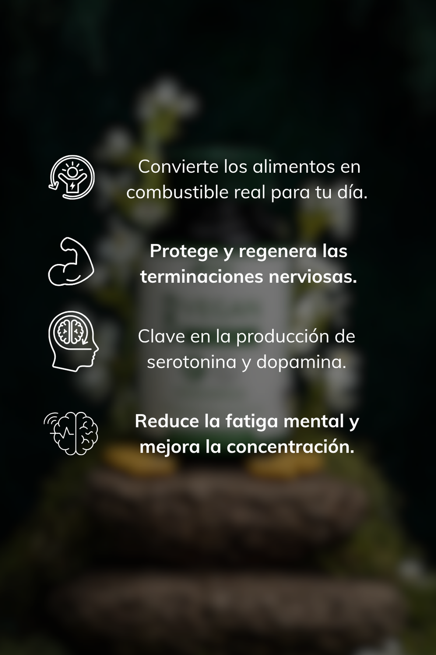 Vegan B-Complex para Energía y Bienestar