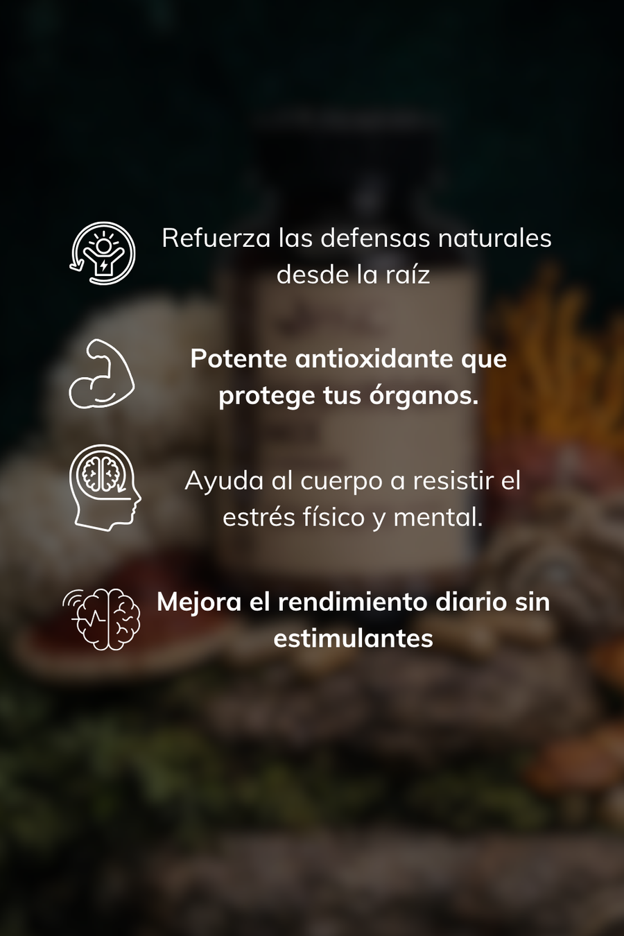 Mushroom Mix 5 Hongos para Energía e Inmunidad
